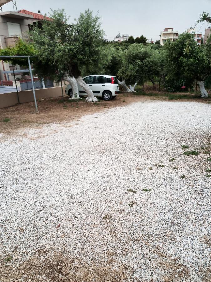 Argo Apartments Kato Daratso Dış mekan fotoğraf