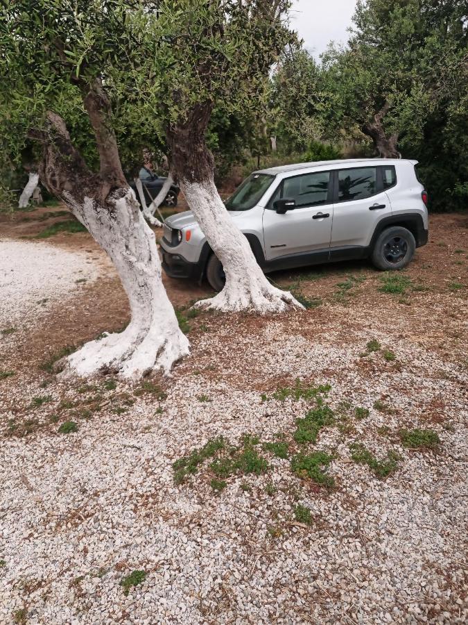 Argo Apartments Kato Daratso Dış mekan fotoğraf